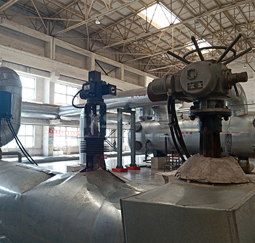 热电厂现场应用